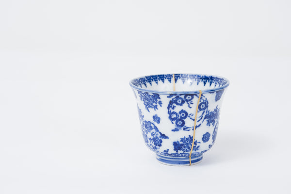 Kintsugi (Golden Repair) Kit