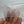 Load image into Gallery viewer, Ocha Pack - Disposable Teabag - 100% Cotton / Biodegradable (Unbleached / 60 teabags)