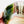 Load image into Gallery viewer, Hirachawan (Summer Matcha Bowl) Oribe - Koji Kitano - Koshi / Komochi Shima