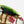 Load image into Gallery viewer, Hirachawan (Summer Matcha Bowl) Oribe - Koji Kitano - Koshi / Komochi Shima