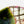 Load image into Gallery viewer, Hirachawan (Summer Matcha Bowl) Oribe - Koji Kitano - Koshi / Komochi Shima