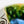 Load image into Gallery viewer, Matcha Bowl Oribe - Koji Kitano - Kimono Textile