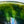 Load image into Gallery viewer, Matcha Bowl Oribe - Koji Kitano - Mukago / Komochi Shima