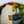 Load image into Gallery viewer, Matcha Bowl Oribe - Koji Kitano - Koshi