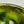 Load image into Gallery viewer, Matcha Bowl Oribe - Koji Kitano - Koshi