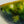 Load image into Gallery viewer, Matcha Bowl Oribe - Koji Kitano - Koshi