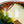 Load image into Gallery viewer, Matcha Bowl Oribe - Koji Kitano - Koshi