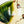 Load image into Gallery viewer, Matcha Bowl Oribe - Koji Kitano - Mukago / Komochi Shima