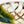 Load image into Gallery viewer, Hirachawan (Summer Matcha Bowl) Oribe - Koji Kitano - Koshi / Komochi Shima