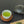 Load and play video in Gallery viewer, Kakegawa Fukamushi Sencha - Hasami Ichiccha (Loose tea)