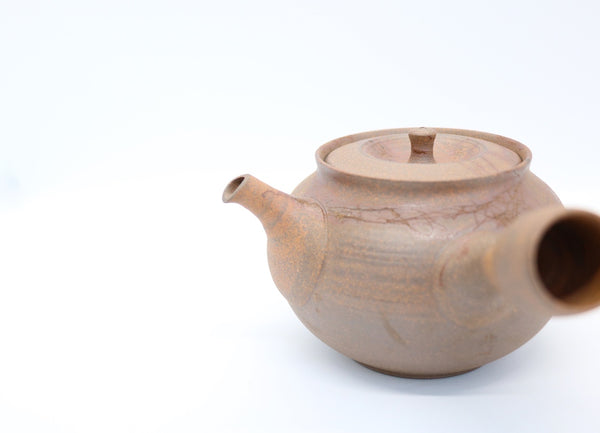 Kyusu Teapot Tokoname - Hokujo Mogake (310 ml)