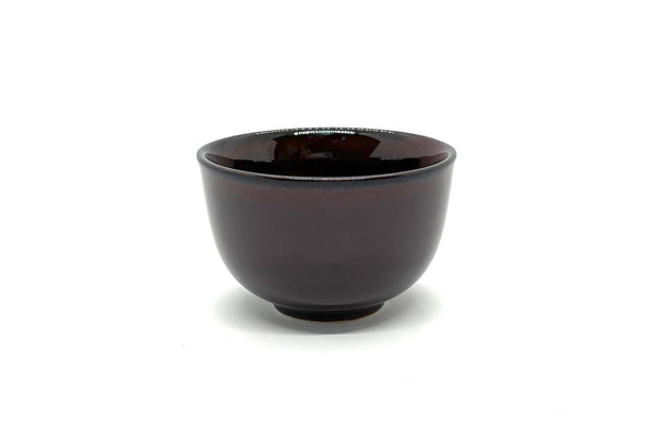 Dobin Teapot with Teacups Mino – Shitsuyu (500 ml)