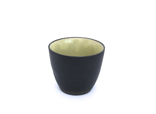 Kyusu Teapot with Teacups Mino - Hinata (310 mL)