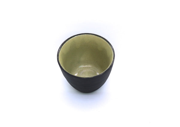 Kyusu Teapot with Teacups Mino - Hinata (310 mL)
