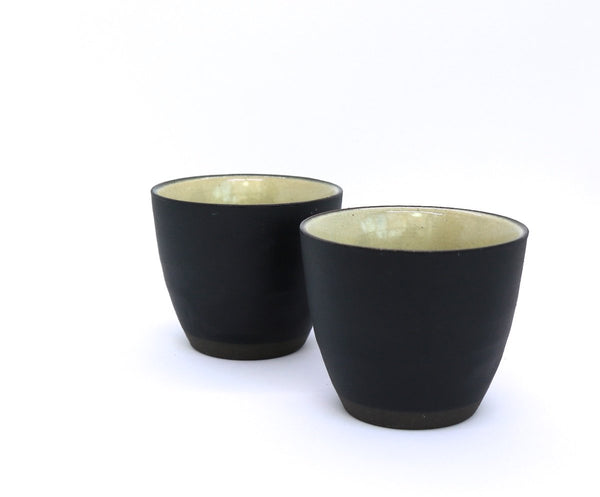Kyusu Teapot with Teacups Mino - Hinata (310 mL)
