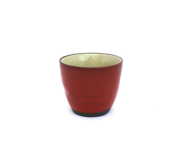 Kyusu Teapot with Teacups Mino - Hinata (310 mL)