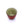 Load image into Gallery viewer, Kyusu Teapot with Teacups Mino - Hinata (310 mL)