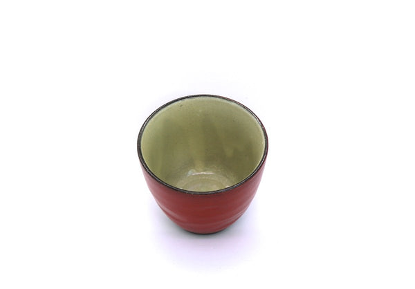 Kyusu Teapot with Teacups Mino - Hinata (310 mL)