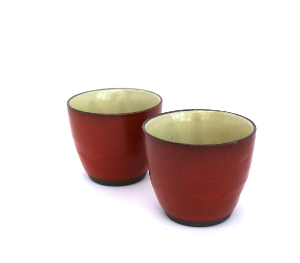 Kyusu Teapot with Teacups Mino - Hinata (310 mL)