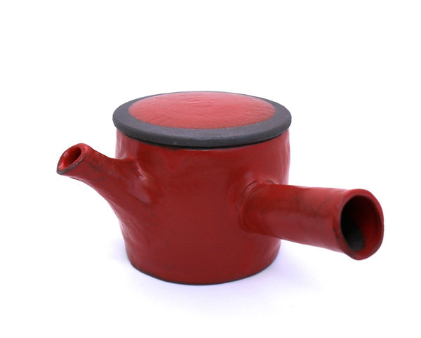 Kyusu Teapot with Teacups Mino - Hinata (310 mL)