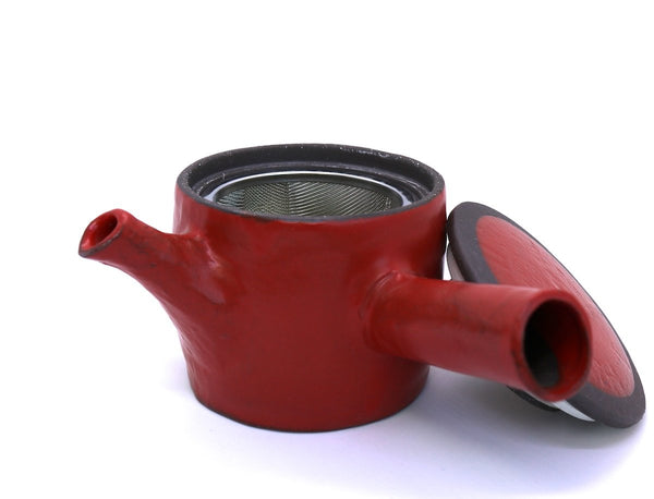 Kyusu Teapot with Teacups Mino - Hinata (310 mL)