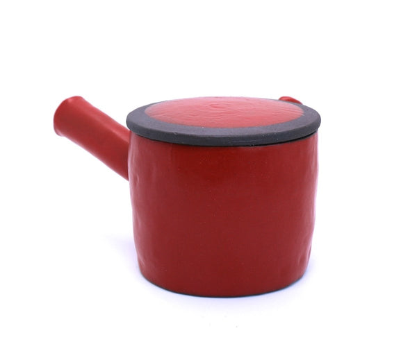 Kyusu Teapot with Teacups Mino - Hinata (310 mL)