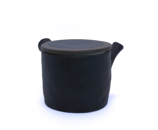 Kyusu Teapot with Teacups Mino - Hinata (310 mL)